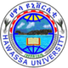 Hawassa University